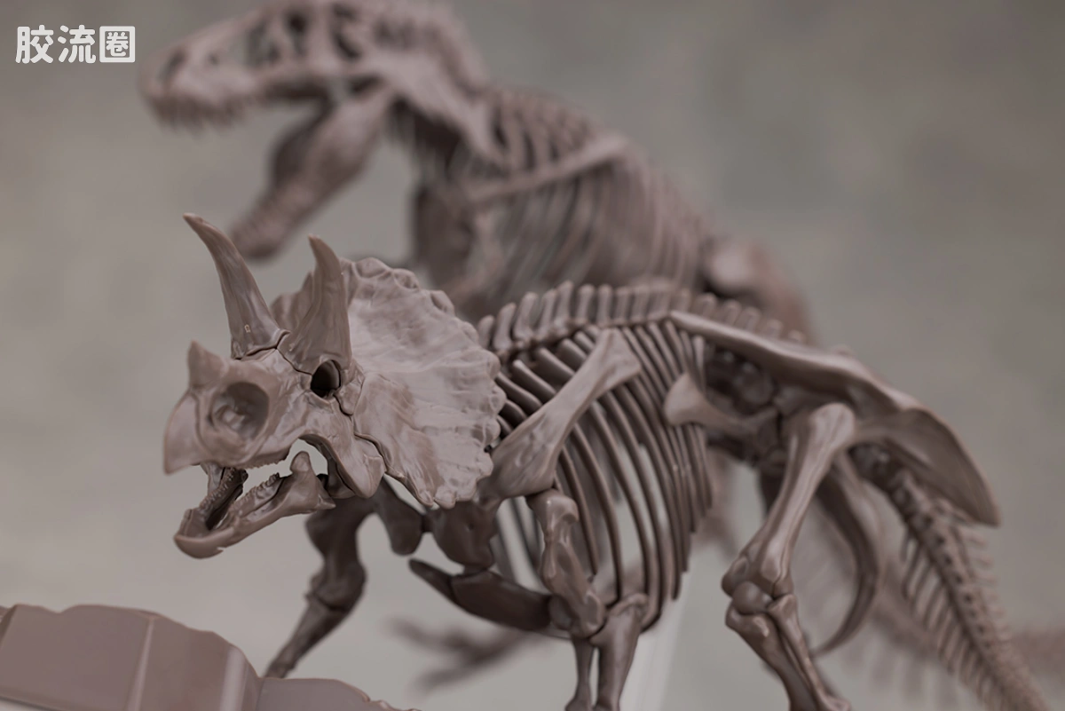 万代综合拼装模型系列 Imaginary Skeleton系列 三角龙 - 图片